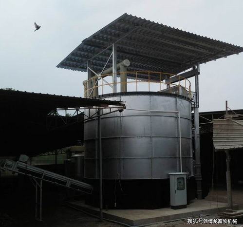 雞糞發酵有機肥，哪些設備更高效可靠？